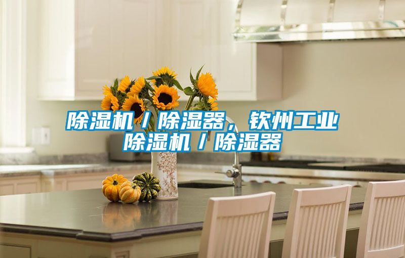 除濕機／除濕器，欽州工業除濕機／除濕器