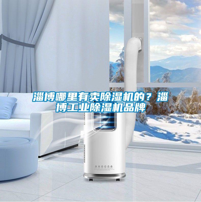 淄博哪里有賣除濕機的？淄博工業(yè)除濕機品牌