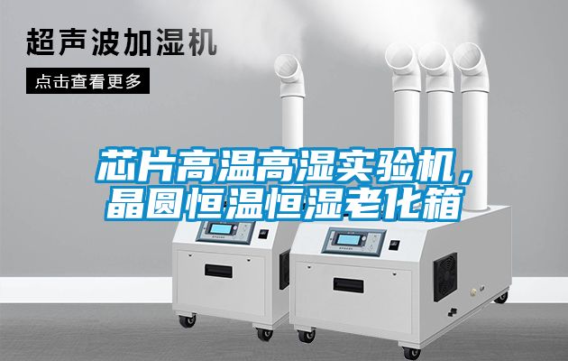 芯片高溫高濕實驗機，晶圓恒溫恒濕老化箱