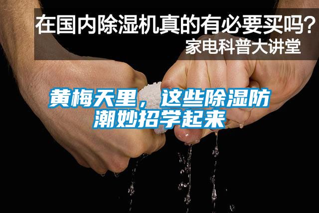 黃梅天里，這些除濕防潮妙招學起來