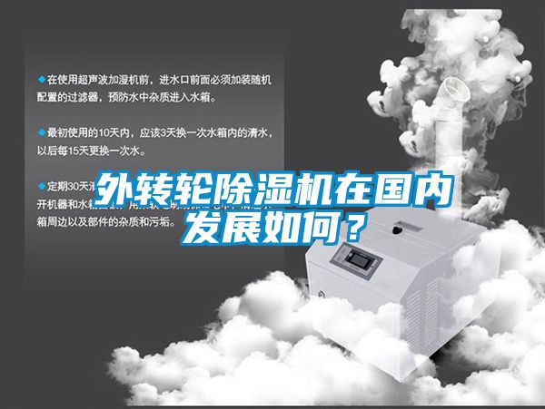 外轉(zhuǎn)輪除濕機(jī)在國(guó)內(nèi)發(fā)展如何？