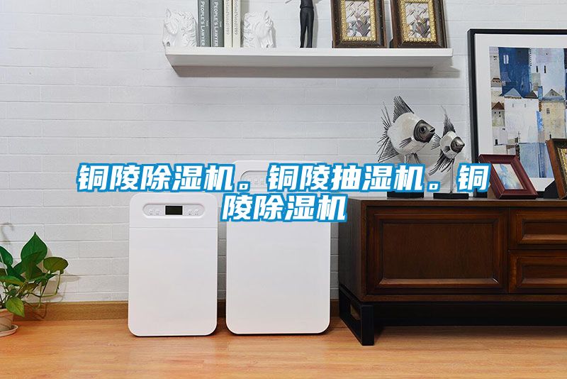 銅陵除濕機。銅陵抽濕機。銅陵除濕機