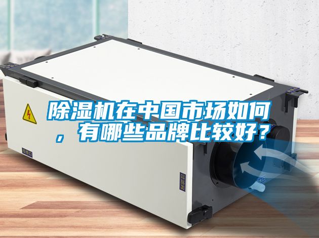 除濕機(jī)在中國(guó)市場(chǎng)如何，有哪些品牌比較好？