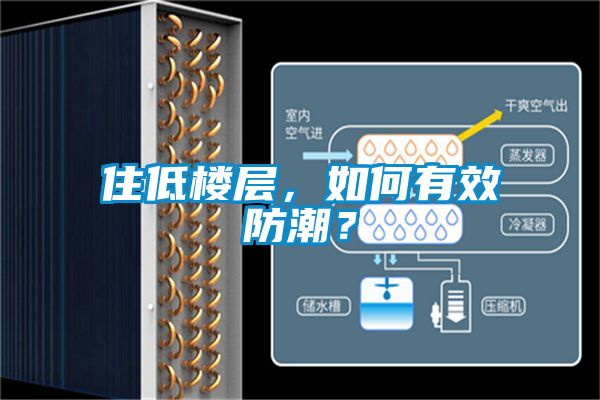 住低樓層，如何有效防潮？