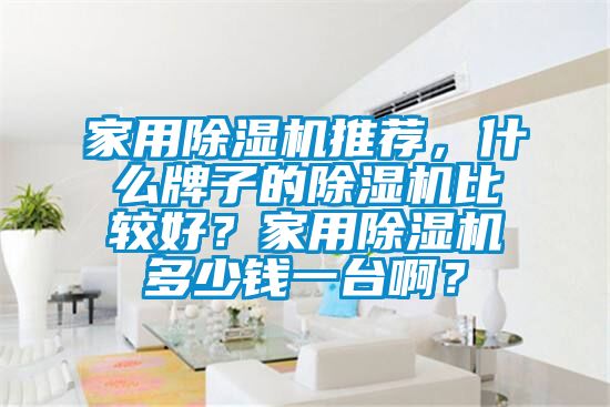 家用除濕機(jī)推薦，什么牌子的除濕機(jī)比較好？家用除濕機(jī)多少錢一臺啊？