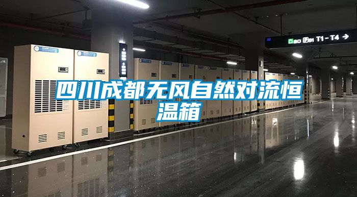 四川成都無(wú)風(fēng)自然對(duì)流恒溫箱
