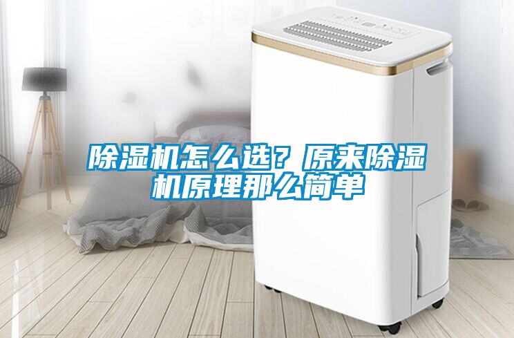 除濕機怎么選？原來除濕機原理那么簡單