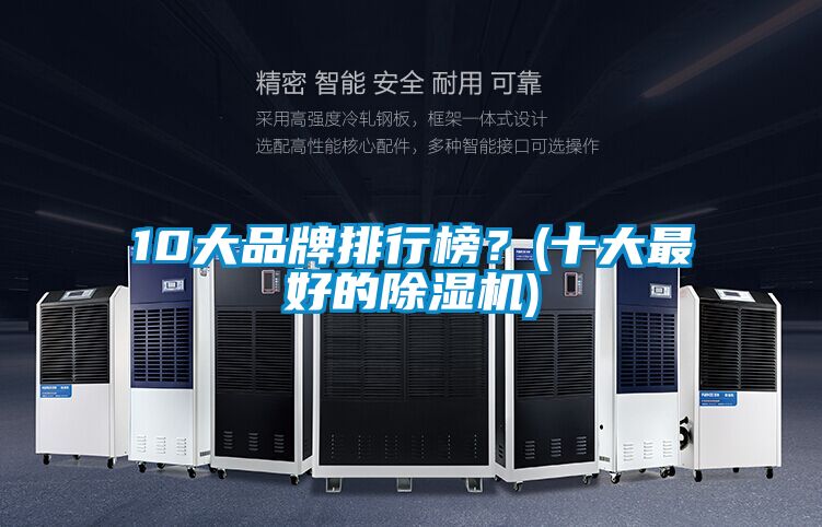10大品牌排行榜？(十大最好的除濕機)