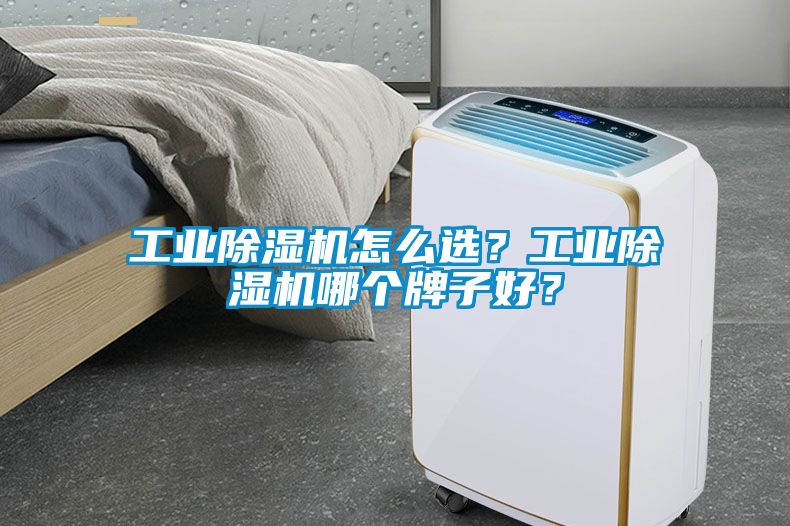 工業除濕機怎么選？工業除濕機哪個牌子好？