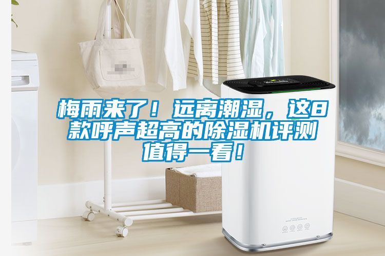 梅雨來了！遠(yuǎn)離潮濕，這8款呼聲超高的除濕機(jī)評(píng)測值得一看！
