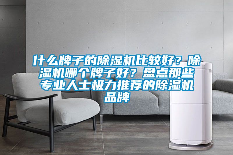 什么牌子的除濕機比較好？除濕機哪個牌子好？盤點那些專業人士極力推薦的除濕機品牌