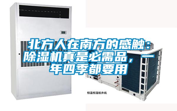 北方人在南方的感觸：除濕機(jī)真是必需品，一年四季都要用