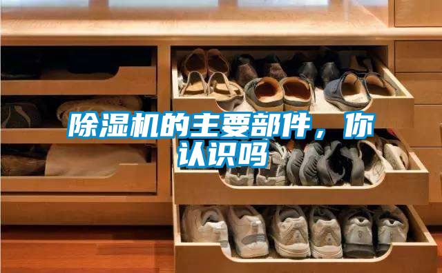 除濕機(jī)的主要部件，你認(rèn)識(shí)嗎