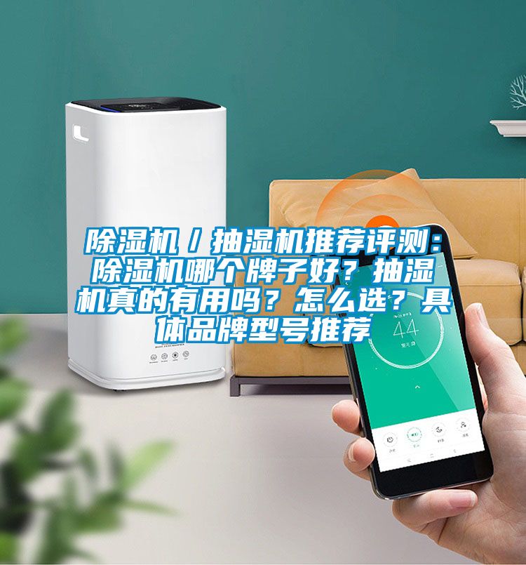除濕機(jī)／抽濕機(jī)推薦評測：除濕機(jī)哪個(gè)牌子好？抽濕機(jī)真的有用嗎？怎么選？具體品牌型號推薦