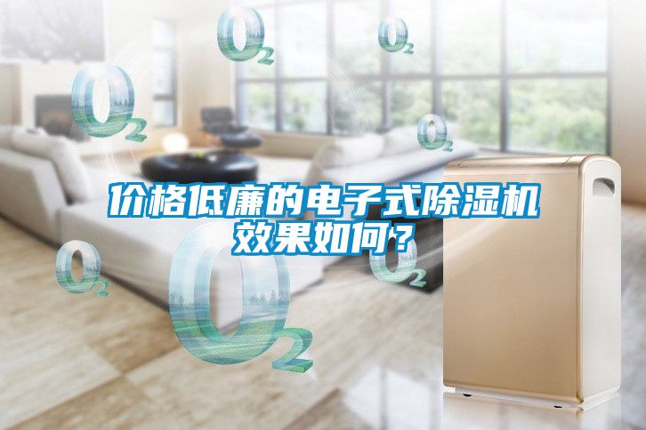 價格低廉的電子式除濕機效果如何？