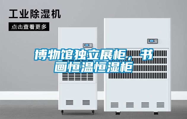 博物館獨立展柜，書畫恒溫恒濕柜
