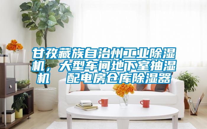 甘孜藏族自治州工業(yè)除濕機(jī)，大型車(chē)間地下室抽濕機(jī)  配電房倉(cāng)庫(kù)除濕器