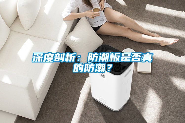 深度剖析：防潮板是否真的防潮？