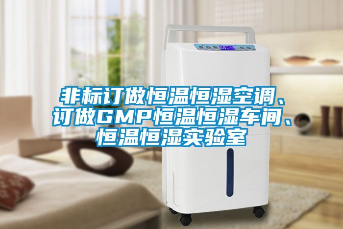 非標訂做恒溫恒濕空調、訂做GMP恒溫恒濕車間、恒溫恒濕實驗室