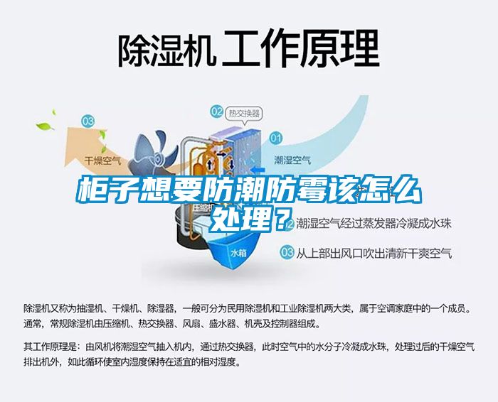 柜子想要防潮防霉該怎么處理？